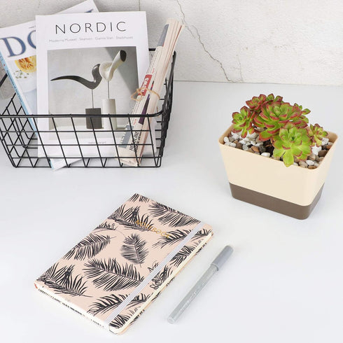 Planter Pot with Drainage, 1 Pack 6x3.8 Inch Herb Indoor Window Box with Tray, Modern Plastic Plant Flower Succulent Cactus Container for Windowsi...