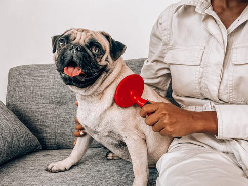 Tuff Pupper Round Bristle Soft Brush for Dogs and Cats | Gentle Grooming for Short or Long Hair | Soft Pin Tool for Sensitive Skin | Detangle & Re...