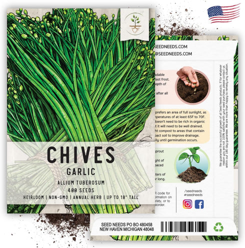 Seed Needs, Garlic Chives Seeds - 400 Heirloom Seeds for Planting Allium tuberosum - Culinary Herb, Non-GMO & Untreated, Chinese Chives for Cookin...