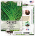 Seed Needs, Garlic Chives Seeds - 400 Heirloom Seeds for Planting Allium tuberosum - Culinary Herb, Non-GMO & Untreated, Chinese Chives for Cookin...