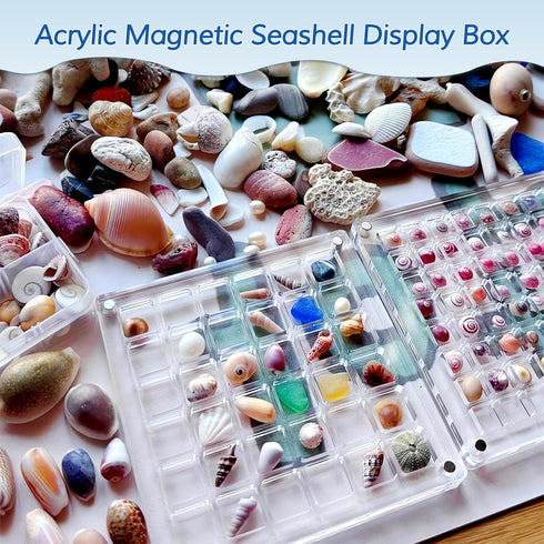 Acrylic Magnetic Seashell Display Box,Seashell Storage Box Display Case Decorative Seashell Starfish Trinket,Seashell Holder Display Box,Small Cra...