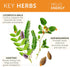 Himalaya Hello Energy Herbal Supplement with Ashwagandha, Amla, Haritaki, Daily Energy Support, Positivity, Metabolism, Caffeine Free, Gluten Free...