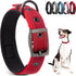 PetiFine Dog Collar with Metal Buckle, Heavy Duty Dog Collar with Soft Neoprene Padded, Adjustable Reflective Nylon Dog Collars for Small Medium L...