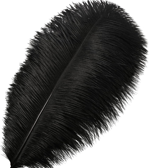 Larryhot Black Ostrich Feathers Bulk - 16-18 inch 10pcs Feathers for Vase,Wedding Party Centerpieces and Home Decorations (Black)...