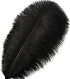 Larryhot Black Ostrich Feathers Bulk - 16-18 inch 10pcs Feathers for Vase,Wedding Party Centerpieces and Home Decorations (Black)...