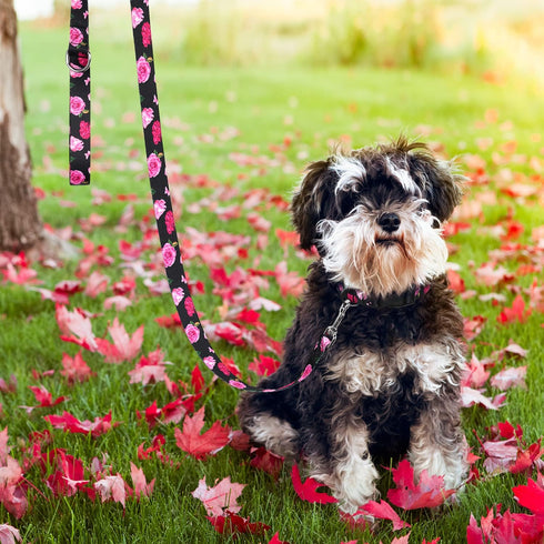 Black Dog Leash Floral Dog Leash for Puppy,Small Breed Dogs 4 ft/foot Dog Leash...