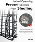 iBorn Suet Feeder Suet Bird Feeders for Outside Hanging,Squirrel Proof Suet Cakes Bird Feeder for Wild Birds,Metal Brown(Pack of 1)...