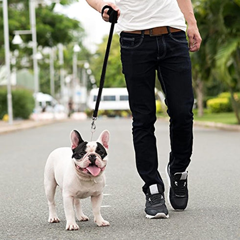 Downtown Pet Supply - Long Dog Leash - Dog Training Leash - Recall & Obedience Dog Training Tools - Nylon - 100 ft - Black Dog Leash...