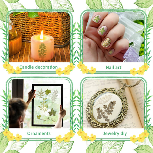 Timtin 84 Pieces Dried Pressed Leaves Flowers for Resin Mini Dried Flowers for Crafts Greenery Assorted for Art DIY Handmade Bookmarks 4 Bags(Vivi...