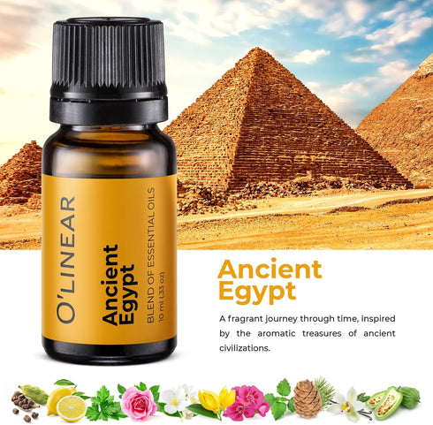 Scent of Adventure Essential Oils Set 6 Aromatherapy Diffuser Blends for Home Office Humidifier Car Fresheners Premium Grade Relaxation Scented Oi...