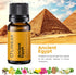 Scent of Adventure Essential Oils Set 6 Aromatherapy Diffuser Blends for Home Office Humidifier Car Fresheners Premium Grade Relaxation Scented Oi...