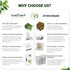 LeafLea Premium Soursop Leaves Tea Bags, Pure & Natural Soursop Tea, Graviola Leaves Tea, Hoja Guanabana Tea, 40 Herbal Tea Bags, Natural Digestio...