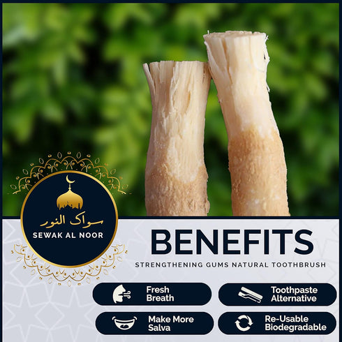 Pack of 5 Miswak Sticks for Teeth with Holder - Vacuum Sealed Natural Flavored Chew Sticks for Humans - Natural Toothbrush for Teeth Whitening, Or...
