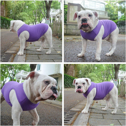Lovelonglong 2019 Summer Pet Clothing, Dog Clothes Blank T-Shirts Ribbed Tanks Top Thread Vests for Bulldog Large Medium Small Dogs 100% Cotton Pu...