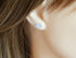 925 Sterling Silver Set of 3 Pairs Assorted Dinosaur and Friends Stud Earrings (Nickel Free)...