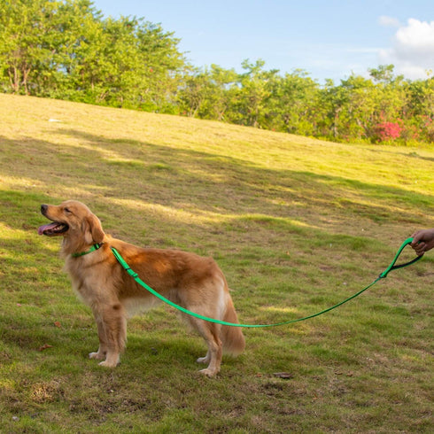 Hyhug Pets Adjustable 6 Feet Leash with Sturdy Nylon and Super Soft Neoprene lined Handle for Medium Large Giant Dogs. (Large Adjustable 6 Feet, L...
