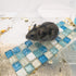 Crystal Hamster Cooling Pad, Scalable Quartz Glass Ice Crack Small Animal Bed for Summer, Small Pet Cooling Pad for Dwarf Hamster (Blue, M,6 * 10c...