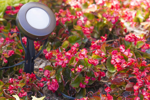 ENBRIGHTEN Mega Stake, LED Landscape Light Management, 14” Tall, Durable, 54483, Black...