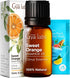 Gya Labs Orange Essential Oil for Diffuser & Skin, 100% Pure Natural Sweet Orange Oil for Massage, Face, Cleaning & Candle Making Scent, 0.34 Fl O...