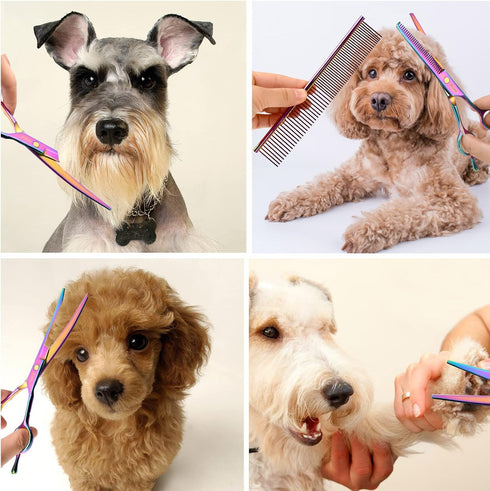 Dog Scissors for Grooming with Safety Blunt Tip, Dog Grooming Scissors Set for Pets, Professional 7 in 1 Grooming Scissors for Dogs and Cats - 6CR...