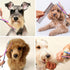Dog Scissors for Grooming with Safety Blunt Tip, Dog Grooming Scissors Set for Pets, Professional 7 in 1 Grooming Scissors for Dogs and Cats - 6CR...