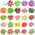 480pcs Fruits Clay Beads for Jewelry Making, 24 Styles Mixed Clay Beads Fruit Charms for Bracelet Making Kit, Polymer Heishi Beads for Women DIY N...
