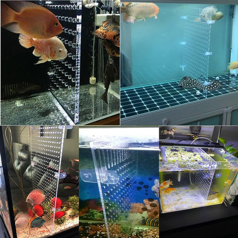 Aquarium Fish Tank Divider Acrylic Isolation Grid Board with Suction Cups Included Clear Fish Separator Transparent Plate Baffle Cover Blocking Fi...