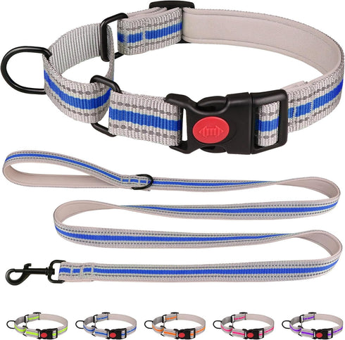 Martingale Collar for Dogs,Soft Neoprene Padded Reflective Martingale Collar and Leash Set Safety Buckle Nylon Martingale Dog Collars for Large Do...