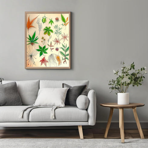 Posterizer 1 pcs-botanical illustration of a variaty of plants-educational art 5-Floral & Botanical Art Gift for Men Women Entrepreneur Teens Dec...