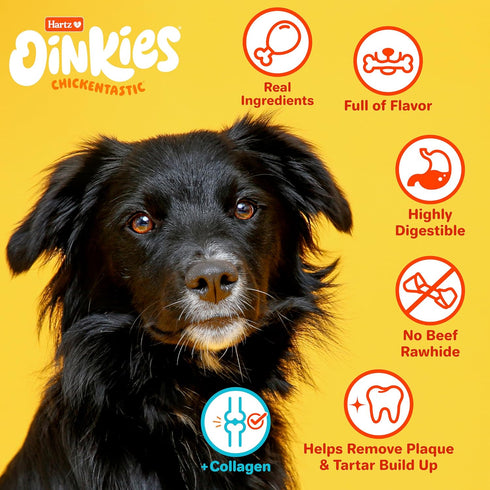 Oinkies Chickentastic Tender Twirls + Collagen to Support Skin & Joints, Made with Real Chicken Breast, Pumpkin & Carrot, Long-Lasting & Rawhide-F...