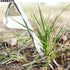 GREBSTK Garden Manual Weeding Tools Stainless Steel Beech Handle Shovel for Weeding, Cultivating, Transplanting, Digging...