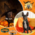 6 Pcs Halloween Dog Collars for Dogs Pumpkin Basic Dog Collars Adjustable Lightweight Holiday Dog Collar Comfortable Dog Collars with Plastic Buck...