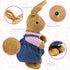 BenBen Easter Bunny Stuffed Animal, 12” Brown Rabbit Plush for Home Decor, Rabbit Stuffed Animal Wearing Pink Clothes for Kids, Gifts for Birthday...