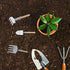 Artibetter 5pcs Mini Zen Garden rakes Dollhouse Grass rake Miniature Garden Tool Tool Set Miniature...