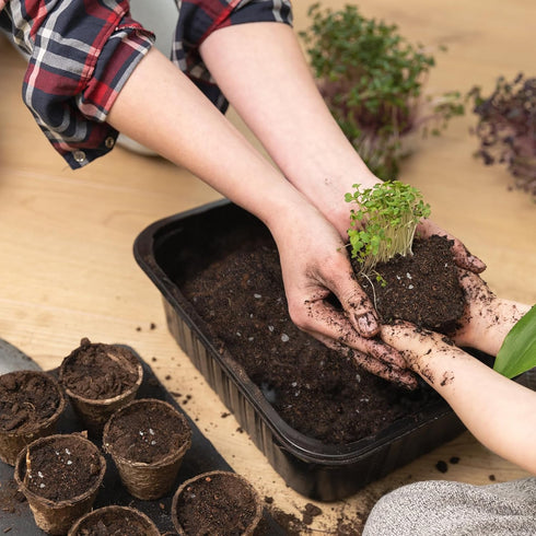 Organic Vegetable Soil Mix 1qt, Indoor Plants Potting Mix for All Potted Vegetable like Tomatoes Lettuce Bell peppers, Grow Healthy houseplants In...