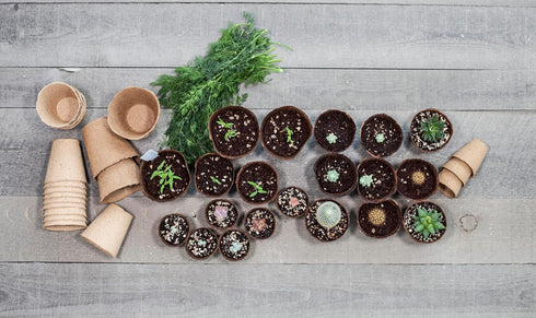 Daniel's Plants 4" Naked Pots | Large Natural Plantable Pots for Herbs Vegetables Tomato Seedlings | OMRI Biodegradable | Earth Friendly Contains ...