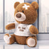PREXTEX 12-Inch Get Well Soon Plush Bear - Soft Stuffed Teddy Bear - Get Well Soon Gifts for Kids Stuffed Animals - Get Well Soon Stuffed Toy - Ge...