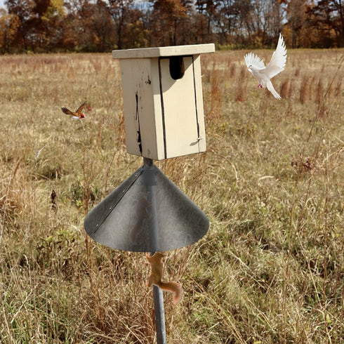 2 Pack Squirrel Baffle Accessory for Bird Feeder Pole and Bird Houses, Pole Mounted Buckle Stopper for Guarding Birdhouse (Baffle Not Included)...