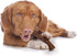 Cadet 100% Beef Strips Dog Treats - Long-Lasting, Healthy & Natural Beef Esophagus Treats for Small & Large Dogs - Low Calorie & High Protein Dog ...