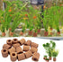 Rainmae 16 Pcs Aquatic Water Plant Fixed Rings, Water Plants Cultivation Fixed Ring Aquatic Water Plant Fixed Ring Ceramic Plant Pot, Landscape Ce...