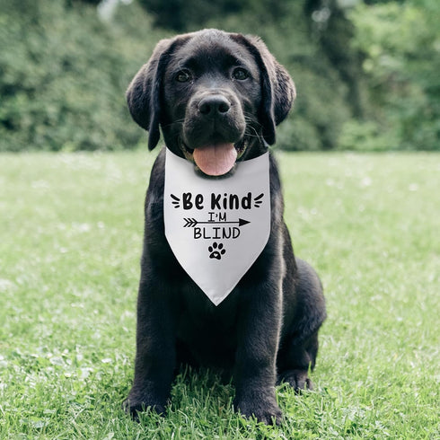 Be Kind I’m Blind Triangle Dog Bandana Funny Dog Bandana Puppy Bandana Triangle Bibs Scarf Accessories for Small Medium Dogs Pets...