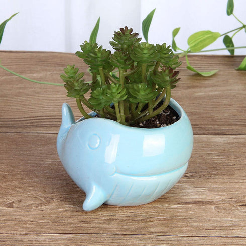 VanEnjoy 5" Ceramic Succulent Pot, Cute Ocean Blue Seashell Series, Conch Shaped Cactus Pot Planter, Flower Pot, Pottery Bonsai Pot (Whale)...