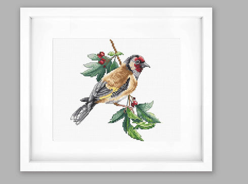 Cross Stitch Kit Luca-S - Goldfinch bird B1197...