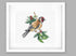 Cross Stitch Kit Luca-S - Goldfinch bird B1197...