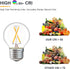 12 Volt E26 Edison LED Light Bulbs - Soft Warm 2700K 2W (Only for 12V DC/AC)- 25W Equivalent Low Voltage Small Globe Bulb for RV, Landscape Lights...