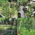 Trellis Netting, CANAGROW Heavy-Duty Garden Plant Trellis Netting for Climbing Plants, Outdoor Indoor Grow Net for Beans Tomatoes Peas Pumpkin Flo...