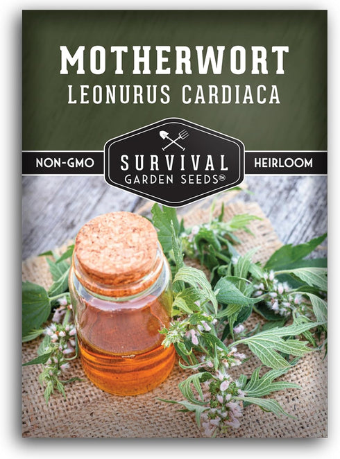 Motherwort Seed for Planting - 1 Packet with Instructions to Plant and Grow Lion's Tail Medicinal Herbs in Your Home Herb Garden - Non-GMO Heirloo...