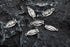 VIDRIO Pack of 80 Lady Guadalupe Pendants Silver Craft Supplies for Jewelry Making Tibetan Accessories for Bracelets Necklace DIY...