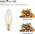 Frosted E12 LED Candle Light Bulbs 25W Equivalent- 2W Dimmable Chandelier E12 LED Bulb- 2700K Soft Warm- B11 Antique Candelabra LightBulbs for Bed...