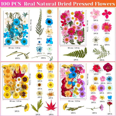 Real Dried Pressed Flowers for Resin, Natural Dry Flowers Leaves Bulk Herbs Kit for DIY Scrapbooking Stamping Supplies Epoxy Resin Jewelry Molds C...